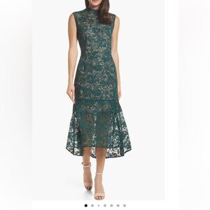 Chelsea28 Lace Midi Dress, Dark Green